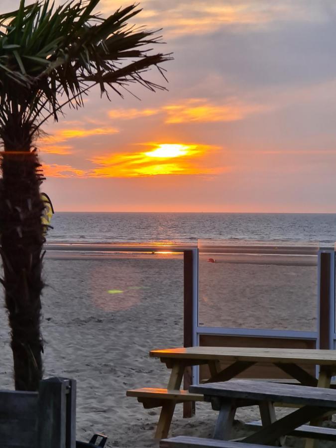 Vakantie Appartement Sahara - Residentie Lindo II 德帕内 外观 照片