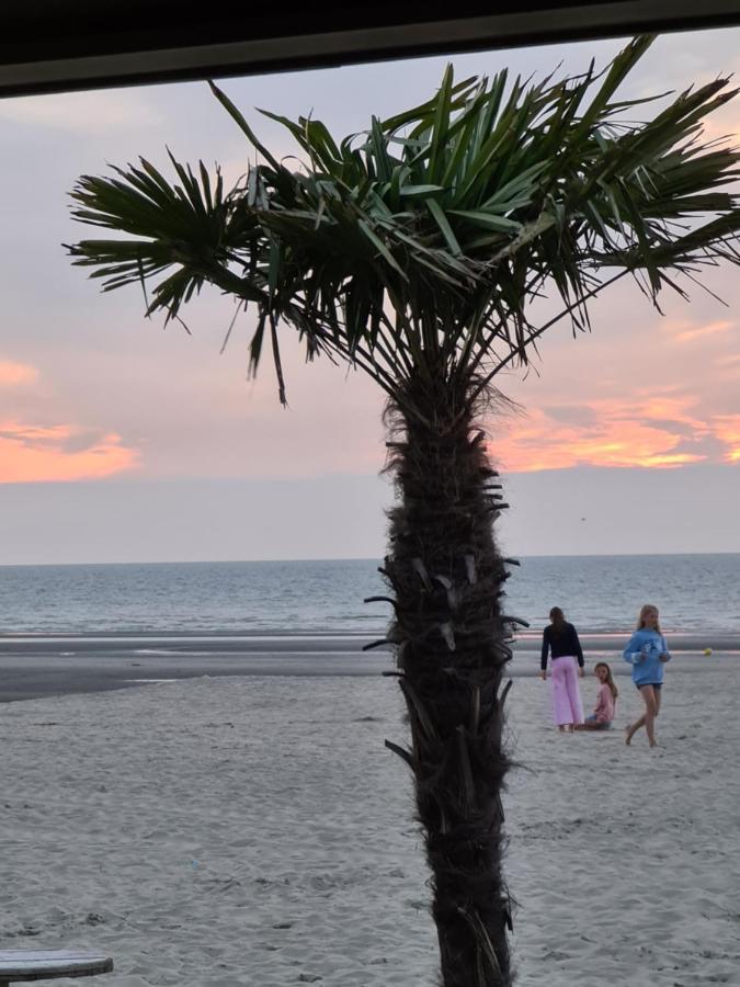 Vakantie Appartement Sahara - Residentie Lindo II 德帕内 外观 照片